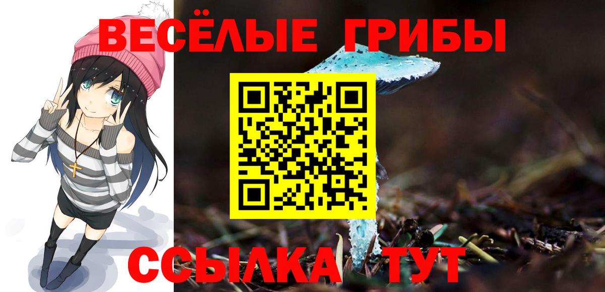 даркнет сайт  Вход с VPN  Шахты  Галлюциногенные грибы ЛСД 
